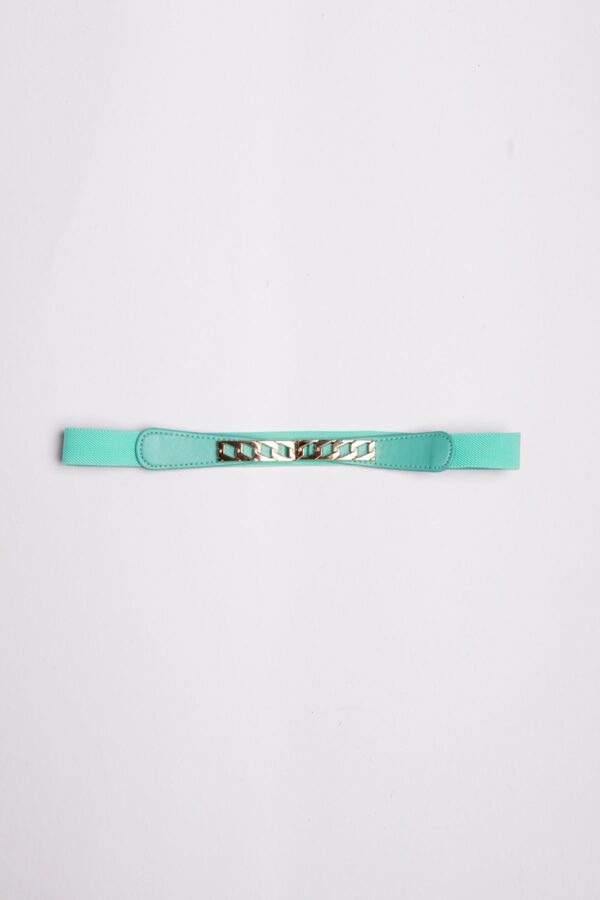 Aqua belt