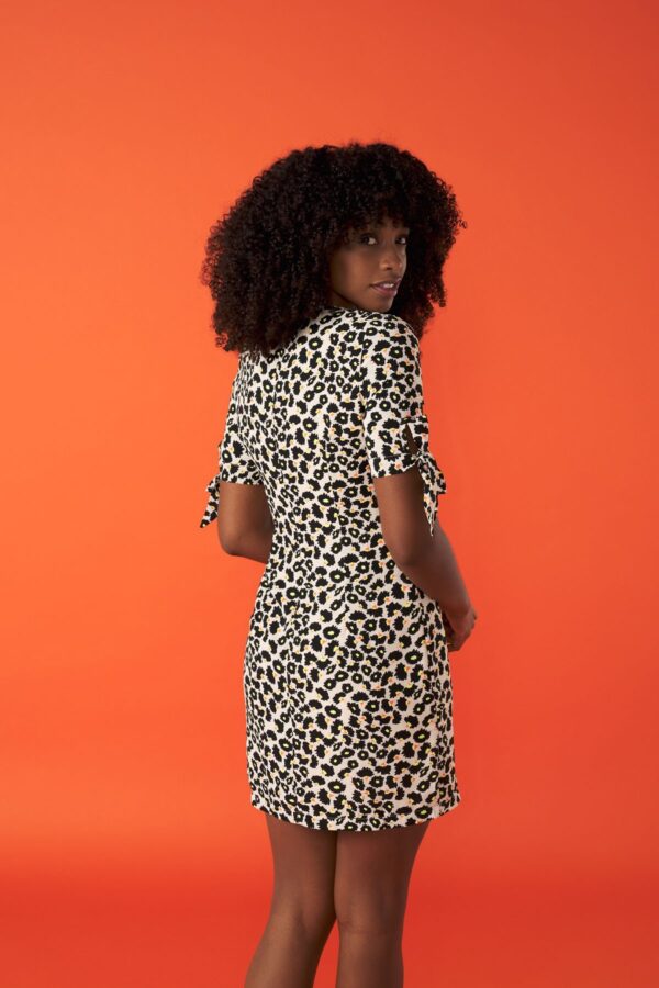 Felisa dress