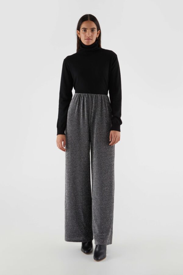 Black metallic pants