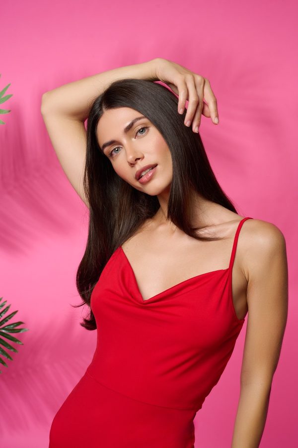 ROOSEVELT DRESS